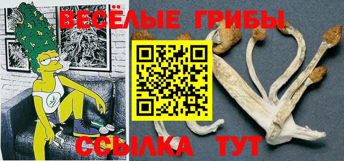 где можно купить   Вход с VPN  Маркс  Псилоцибиновые грибы Cubensis  Псилоцибиновые грибы мицелий 