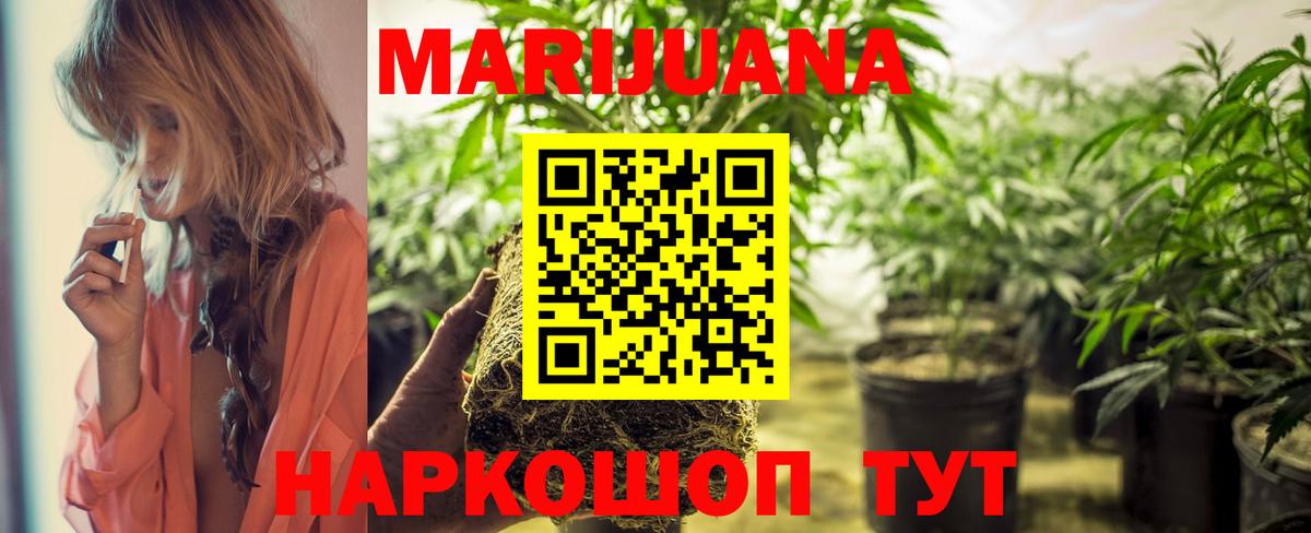 Канабис сатива Маркс